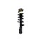 Fcs Struts Suspension Strut And Coil Spring Assembly 1333984L - alternate 1