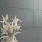Ackland Camden Mist 18 in. x 36 in. x 0.4 in. Gauged Slate Floor and Wall Tile (4.5 sq. ft./case) AKTLTCAMMIST18X36G-EA - alternate 4