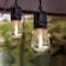 Feit Electric Feit LED Edison LED Light String Clear 20 ft. 10 lights SL20-10/FIL - alternate 2