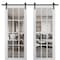 Sartodoors Sturdy Double Barn Door with Clear Glass 12 lites, Felicia 3355 Matte White, 13FT Rail Hangers Hea FELICIA3355DB-WS-6096 - alternate 1