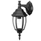 Homeroots Matte Black Hanging Globe Lantern Wall Light 398562 - alternate 1