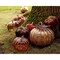 Decoris 8 in. Pumpkin Fall Decor  647775 - alternate 2
