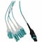 Eaton Tripp Lite Series Preloaded Fiber Panel, 1U - 2x 12F MTP/MPO-PC to 4x LC Duplex F/M 8F Trunk, RJ45 N48M-2M8L4-20 - alternate 1