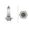 Hella BULB H7 12V 70W PX26D T4.625, 2PK  H7 70W - alternate 2