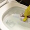 Misty Bowl And Urinal Cleaner, 1 qt, Bottle, PK12 1038799 - alternate 3