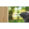 Grk Fasteners GRK 2'' T25 Star Drive Impact Screwdriver Bit, 2 Ct. 187443 - alternate 3