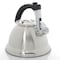 Mr Coffee Collinsbrook 2.4 Quart Stainless Steel Whistling Tea Kettle 98239.01 - alternate 3