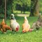 Better Barriers Plastic, Chicken Wire, 2ft.x50ft. PN 24 - alternate 2