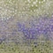 Homeroots 8' X 10' Green Purple And Black Abstract Washable Indoor Outdoor Area Rug 603092 - alternate 3