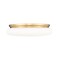 Z-Lite Soleil Modern Gold 1 Light Flush Mount 1025F20-MGLD-LED - alternate 2