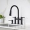 Blanco Empressa Bridge Pull-Down Faucet 1.5 GPM, Matte Black 443024 - alternate 5