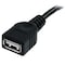 Startech.Com 10 FT BLACK USB EXTENSION CABLE A TO A USBEXTAA10BK - alternate 2