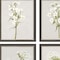 Homeroots Set Of Four White Field Flowers Black Framed Print Wall Art, 4PK 416436 - alternate 2
