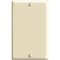 Leviton PJ13-I Blank Wallplate, 3-1/8 in L, 4-7/8 in W, 1/4 in Thick, 1 -Gang, Nylon, Ivory, Box Mounting R51-0PJ13-00I - alternate 2