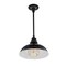 Jonathan Y Jasper 12.25" 1-Light Farmhouse Industrial Indoor/Outdoor Iron LED Pendant, Black JYL7611B - alternate 2