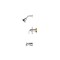 Premier Sanibel Single-Handle 1-Spray Tub and Shower Faucet in Chrome 873X-8201 - alternate 1
