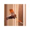 Dap Global Fire Break 4004501212 Flame Resistant Sealant, Amber, 60 to 100 deg F, 12 oz Can 7565010012 - alternate 4