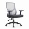 Leisuremod Glen Ergonomic Mesh Desk Chair, Adjustable Armrests and Tilt GO60LGR - alternate 1