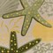 Homeroots 9' X 12' Green Yellow Blue Ivory And Dark Green Starfish Indoor Outdoor Area Rug 548113 - alternate 3