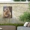 Trademark Fine Art Outdoor Canvas Art - David Stribbling 'Maincoon cat' Wall Art for Patios, or Gardens GRL01506-OC3547WR - alternate 2