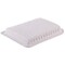 Premium Guard Engine Air Filter,  PA99078 - alternate 2