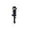 Fcs Struts Suspension Strut And Coil Spring Assembly 1335779R - alternate 1