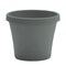 Bloem Terra 5.5 in. H X 6.5 in. W X 4.5 in. D Plastic Traditional Planter Basil TR0641 - alternate 1