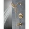 Delta Saylor Monitor 17 Series Tub & Shower Trim with In2ition T17435-CZ-I - alternate 3