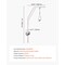 Vevor Trapeze Bar for Bed Mobility 250LBS Bed Trapeze with Clamps & Metal Chain FBL900979 - alternate 2