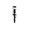 Fcs Struts Suspension Strut And Coil Spring Assembly 1333927R - alternate 1