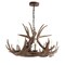 Jonathan Y Nelle 28.5" Adjustable Resin Antler 6-Light Chandelier, Brown JYL6302A - alternate 3