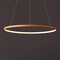 Jonathan Y Brice 23.75" Modern Contemporary Metal Round Dimmable Integrated LED Pendant, Orange JYL7203G - alternate 3