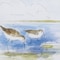 Homeroots Set Of 2 Watercolor Shore Birds Framed Art, 2PK 387732 - alternate 3