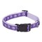 Casual Canine Dog Collar, 10 to 16 in L Collar, 5/8 in W Collar, Nylon, Purple ZA8871 10 79 - alternate 1