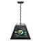 Holland Bar Stool Bemidji State University Pendant Box Light BxLM1 - alternate 1