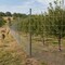 Wrightmaster 48 in. x 164 ft. 14-Gauge Heavy-Duty Hot-Dip Galvanized Poultry Fencing w/High Corrosion Resistance ZoroP503419 - alternate 2