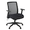 Regency Squire Ergonomic Task Mesh Office Swivel Chair with Flip Up Arms, Black 5401BK - alternate 1