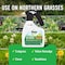 Roundup Killer RTU Liquid 1.5 L 5022205 - alternate 2
