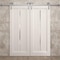 Sartodoors Modern Double Barn Door 48 x 80 inches, Ego 5014 Painted White Oak, 13FT Silver Rail Track Set, S EGO5014DB-S-PWO-48 - alternate 3