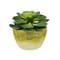 Homeroots 4" Green Succulent Artificial Succulent in a White And Yellow Pot 526889 - alternate 2