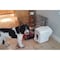 K9 Kennel Store The Vault 60Lb. Food XL Food Dispenser K9VAULTFD - alternate 2