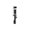 Fcs Struts Suspension Strut And Coil Spring Assembly 1334058L - alternate 1