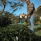 Makita Pole Hedge Trimmer Kit, 18V, 4.0 Ah XNU05SM1 - alternate 4