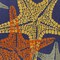 Homeroots 8' X 11' Blue Yellow And Orange Starfish Indoor Outdoor Area Rug 546875 - alternate 2