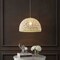 Jonathan Y Campana 20" 1-Light Bohemian Modern Woven Rope/Iron LED Pendant, White JYL6504E - alternate 3
