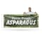 Signmission Farm Fresh Asparagus, 48 Inch x 120 Inch, Vinyl Banner B-120-30574 - alternate 2