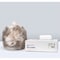 Integrated Bagging Systems 16 gal Trash Bags, 24 in x 33 in, Light-Duty, 8 microns, Natural, 1000 PK S243308N - alternate 1