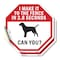 Signmission I Make It to The Fence In 2.8 Secon, 4 inch X 4 inch, Vinyl Decal, 2PK OC-D-2PACK-4-61 - alternate 1
