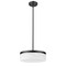 Z-Lite Renaud Matte Black 1 Light Pendant 827P13-MB-LED - alternate 3