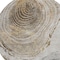 Homeroots 8' Taupe Gray And Brown Round Abstract Washable Indoor Outdoor Area Rug 582808 - alternate 2